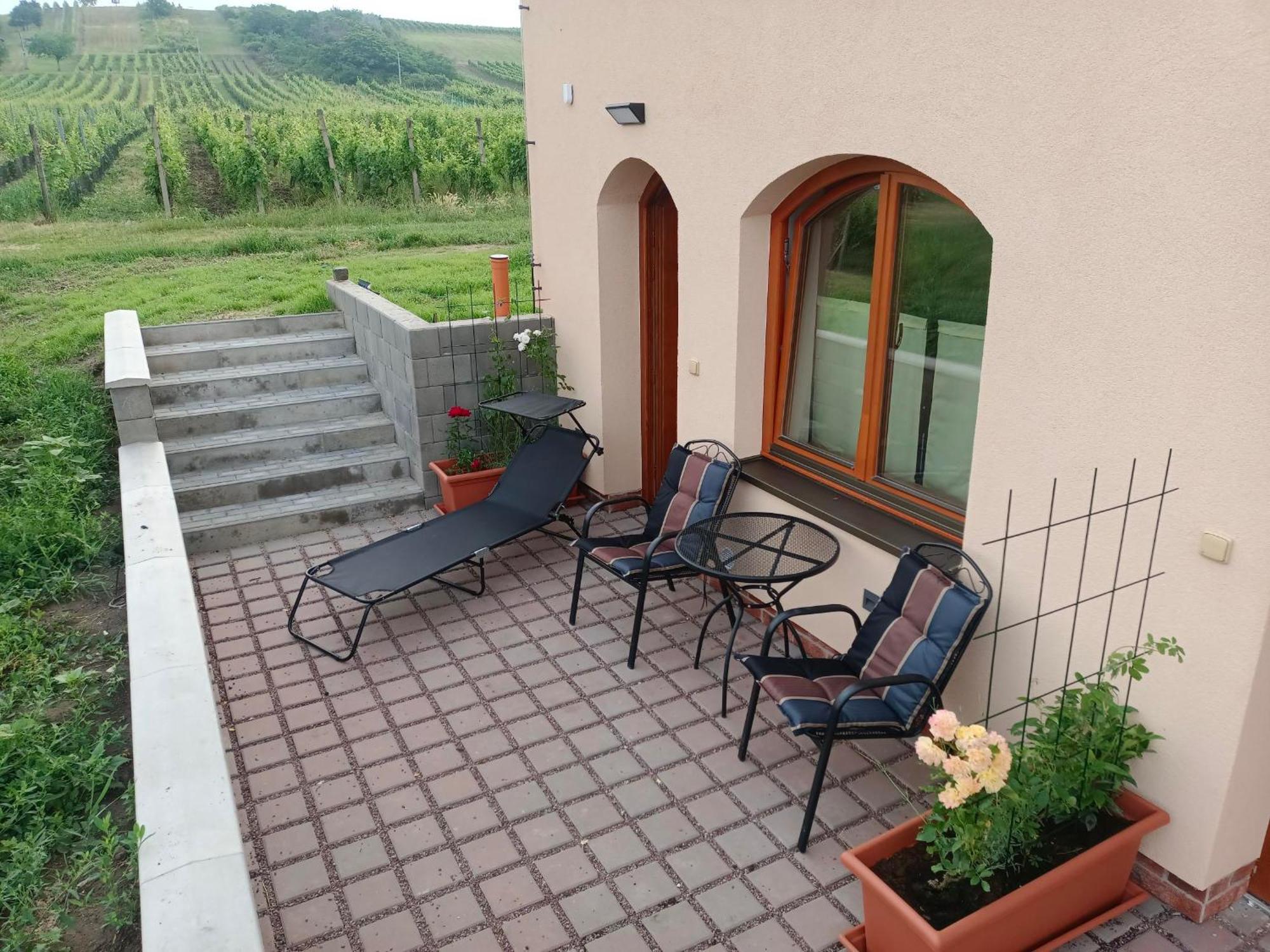 Sklep Vino Strycek Guest House Velké Bílovice Екстериор снимка