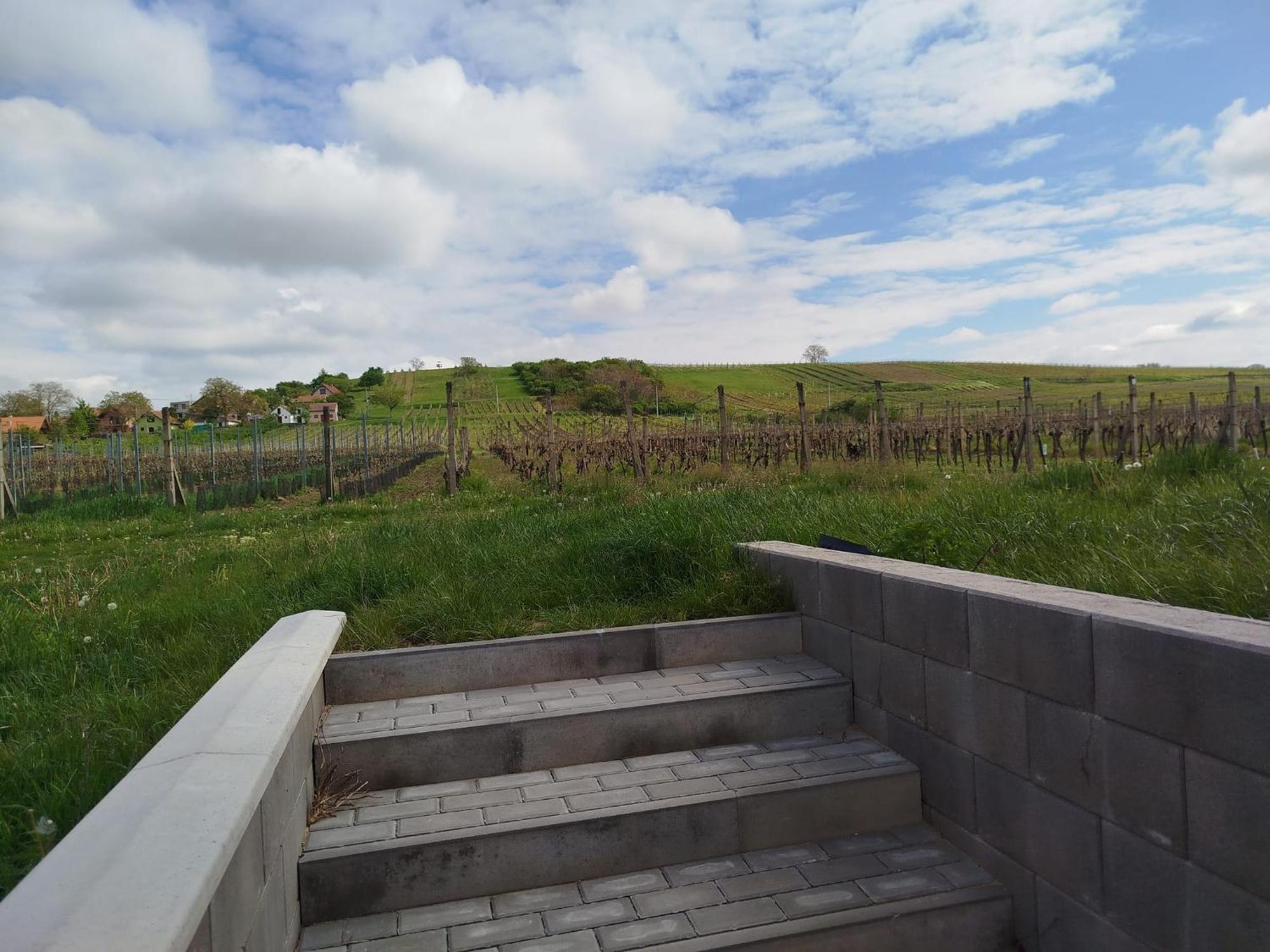 Sklep Vino Strycek Guest House Velké Bílovice Екстериор снимка